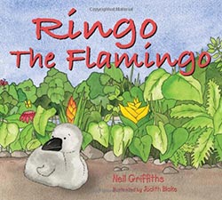 Ringo the Flamingo