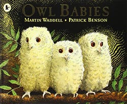 Owl Babies